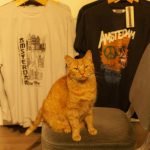 tshirt gsm guide